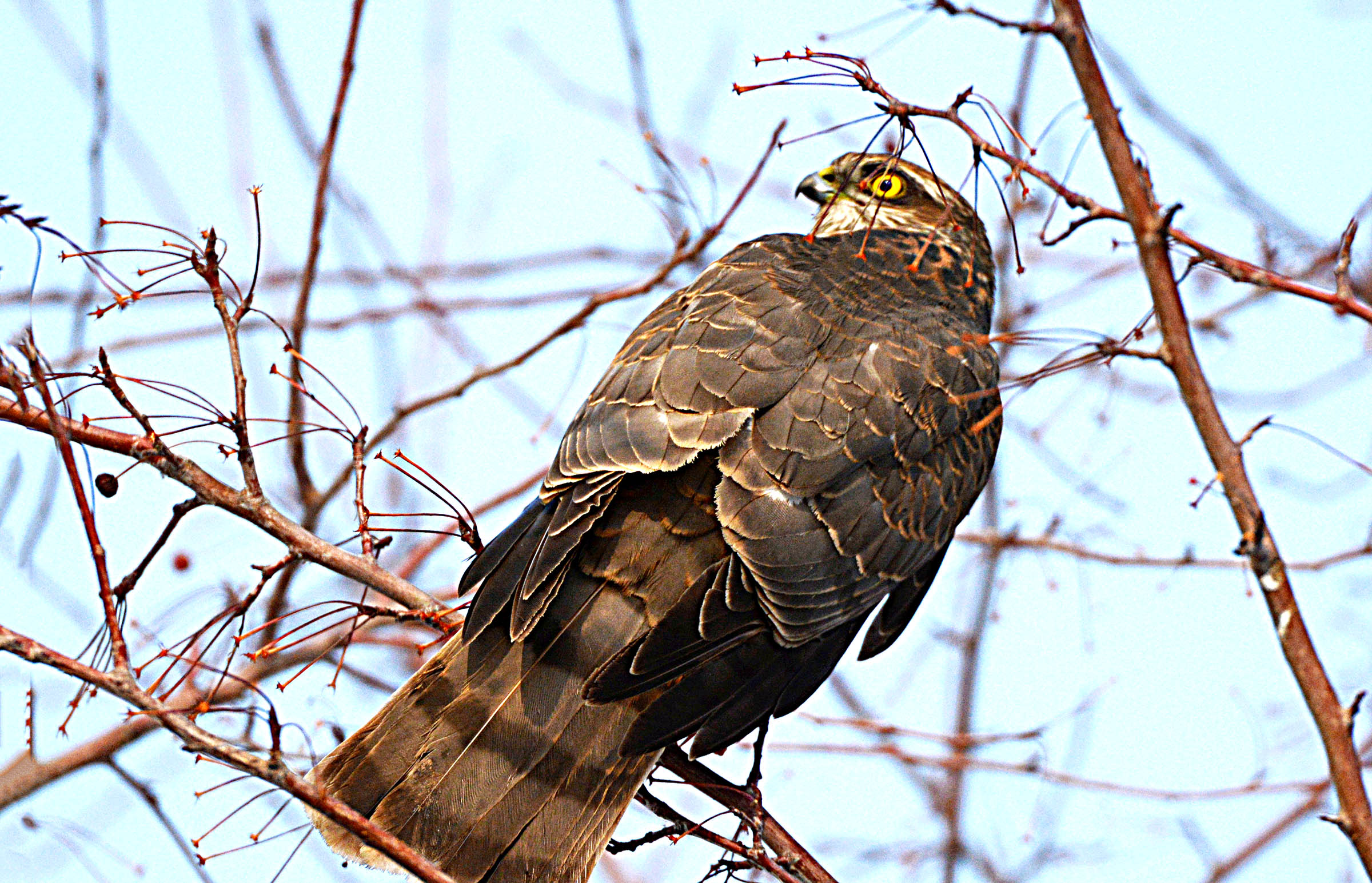 DSC_7075.jpg