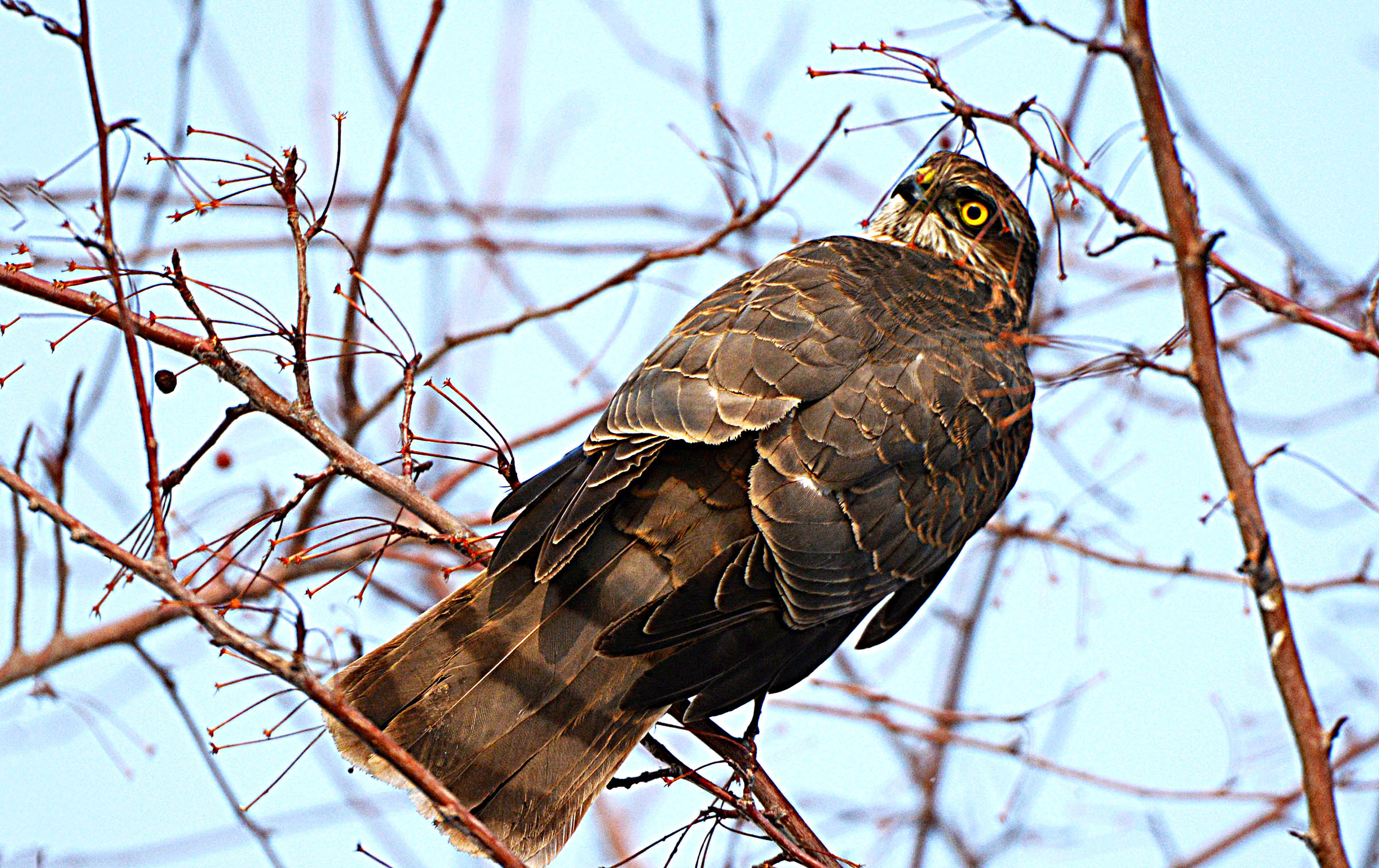 DSC_7076.jpg