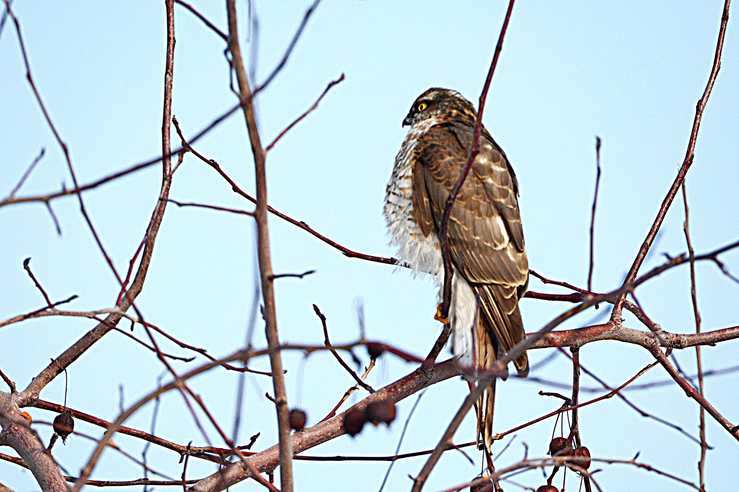 DSC_7086.jpg