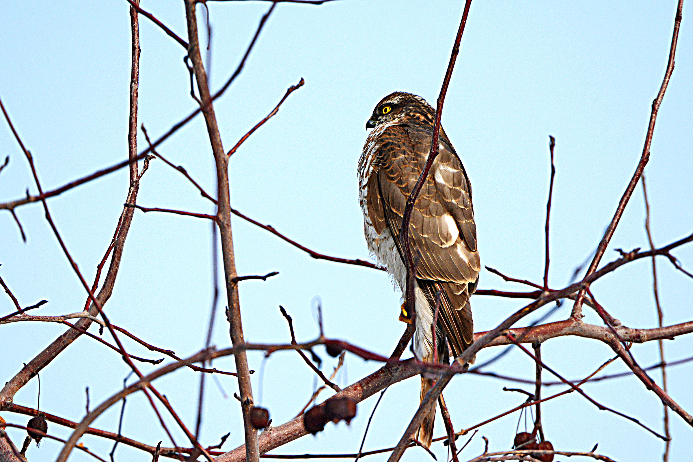 DSC_7097.jpg