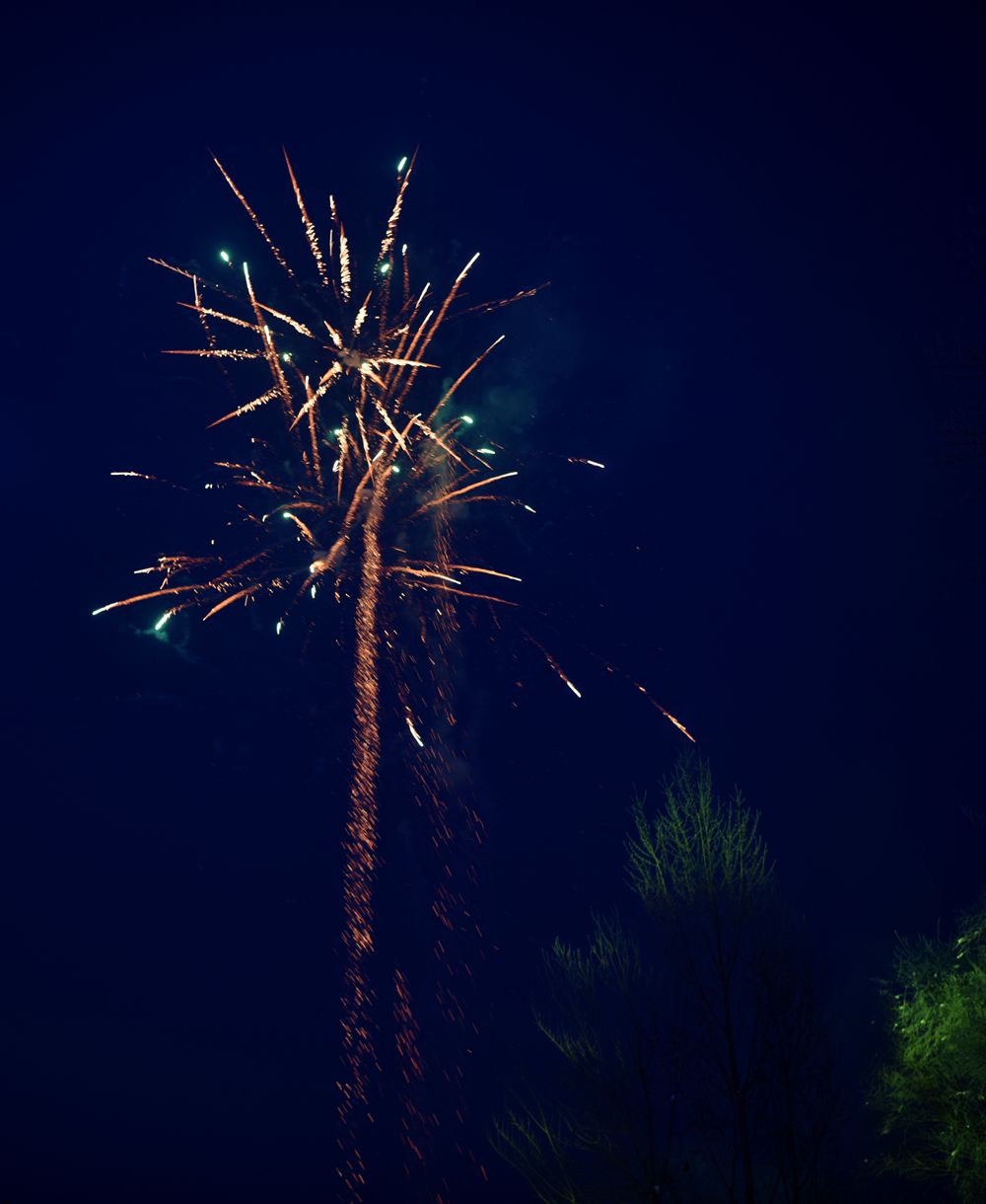 DSC_6761_.jpg