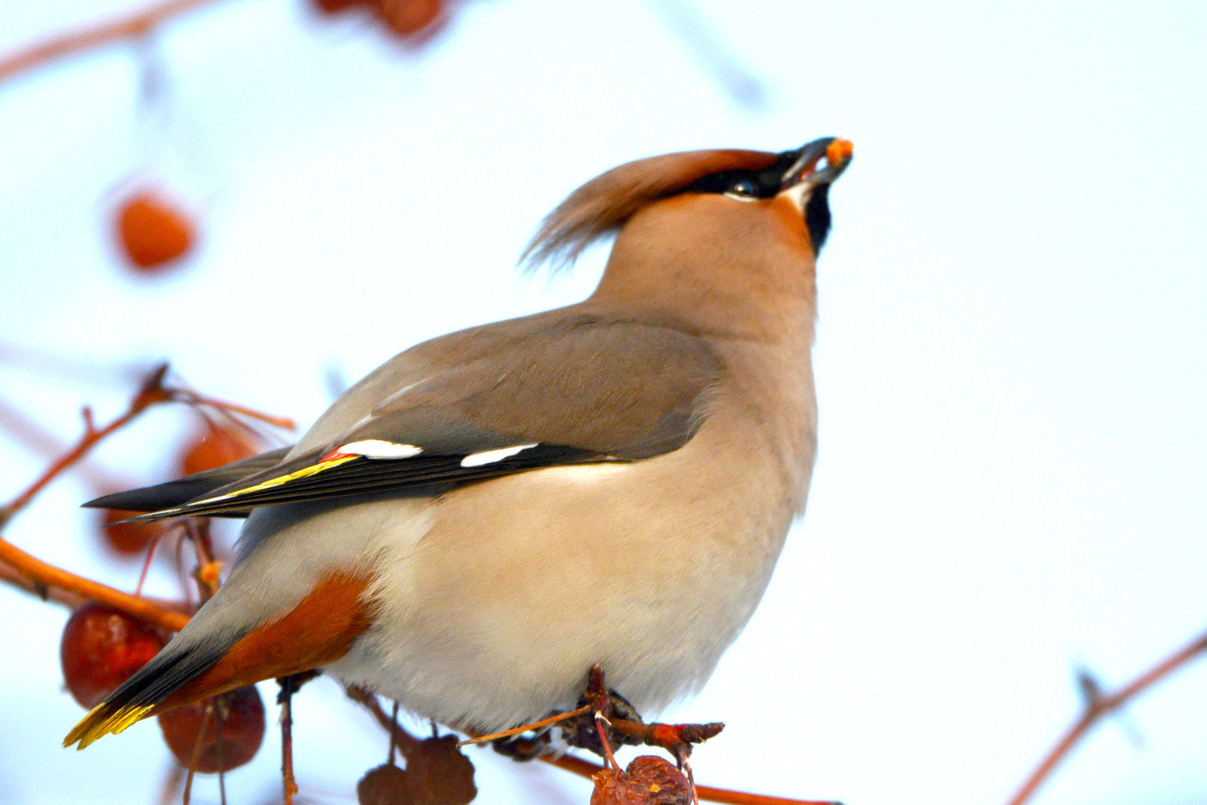 DSC_7192.jpg
