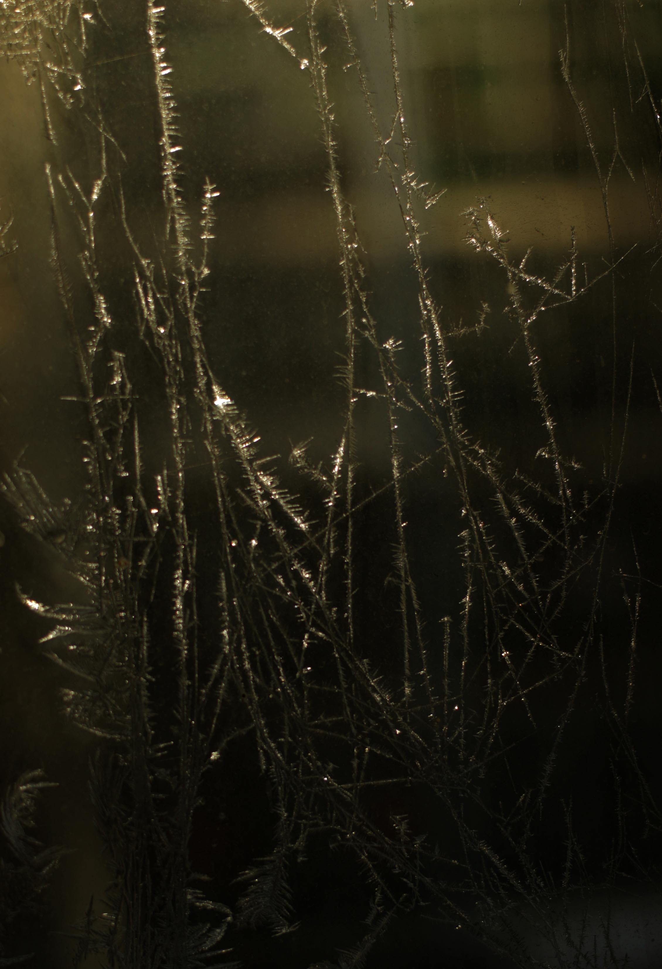 739A8903q.jpg