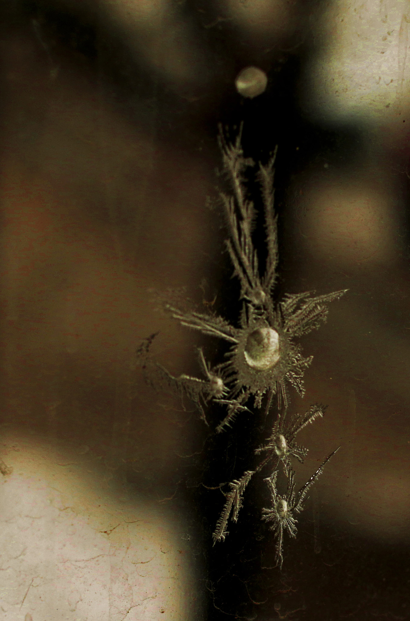 739A8979q.jpg