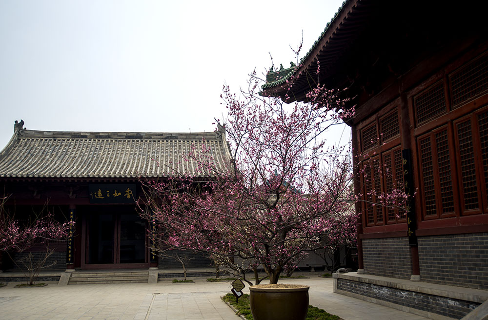 DSC_5815.jpg