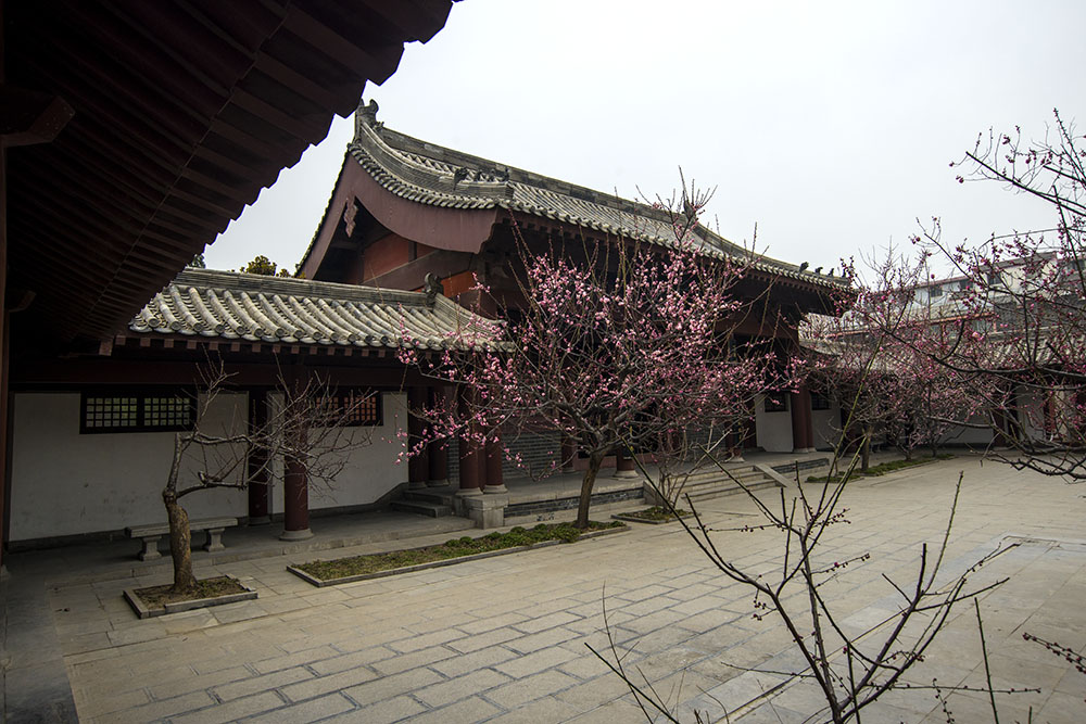 DSC_5817.jpg
