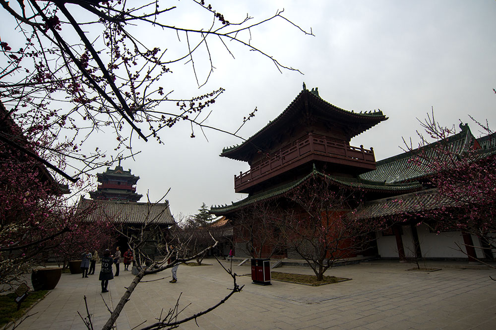 DSC_5819.jpg