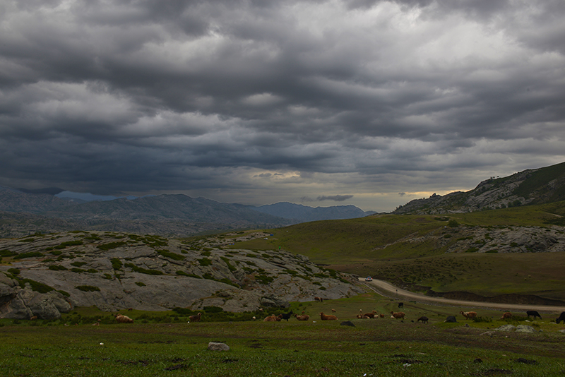DSC_6528.JPG