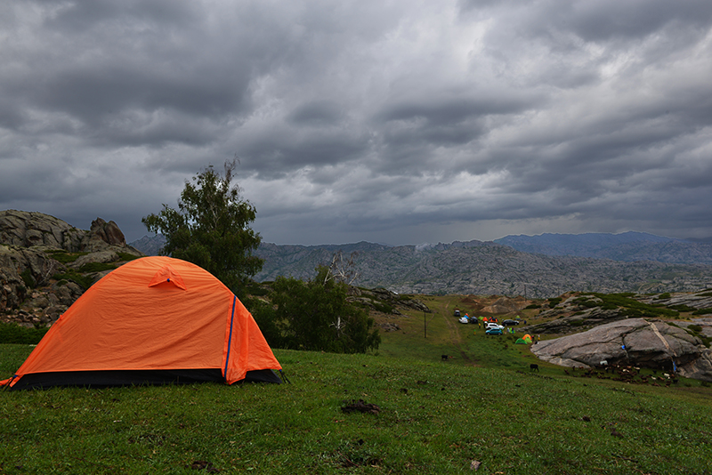 DSC_6531.JPG
