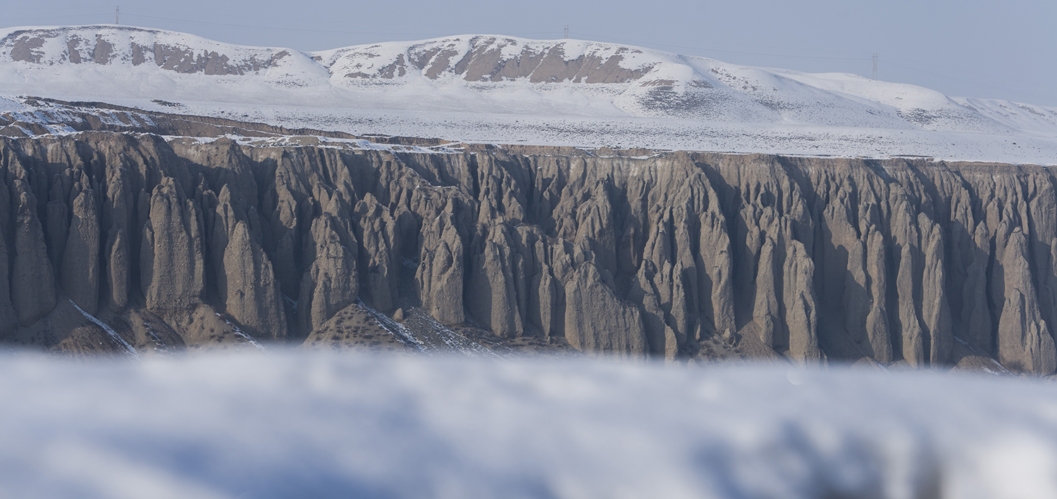 _DSC0806.JPG