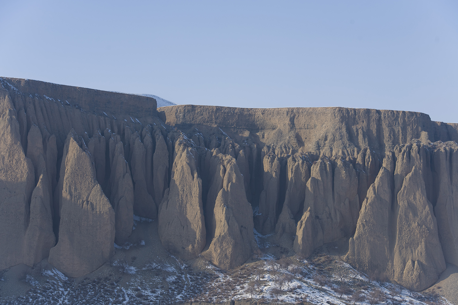 _DSC0825.JPG