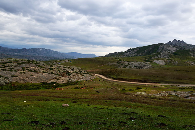 DSC_6533.JPG