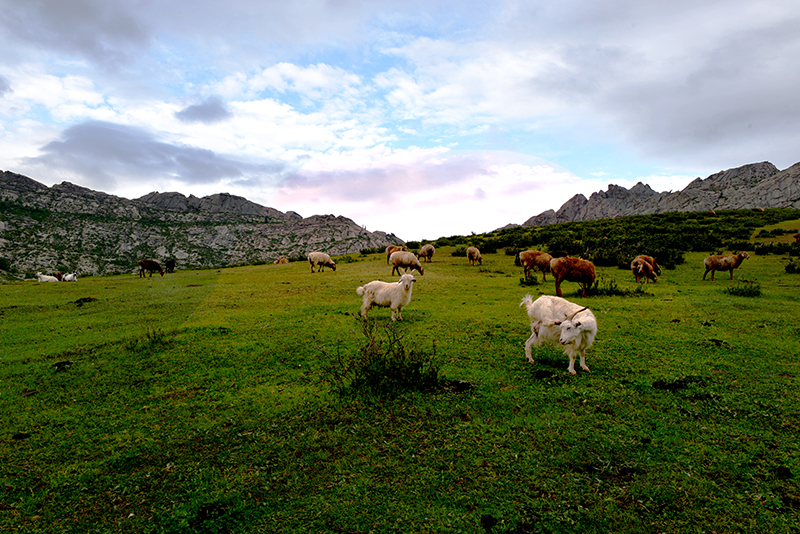 DSC_6544.JPG