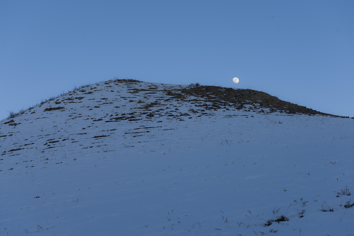 _DSC0977.JPG