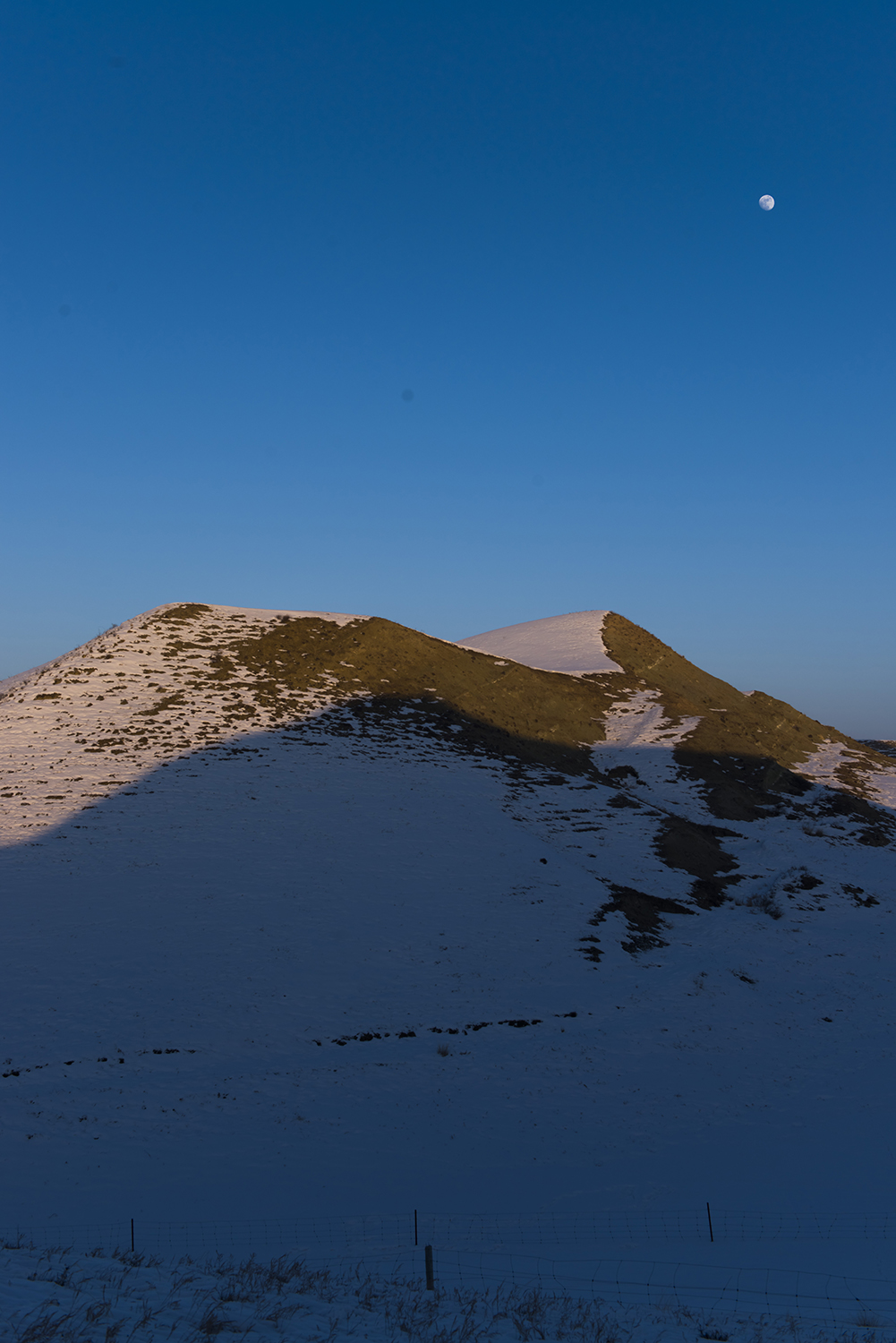 _DSC0969.JPG