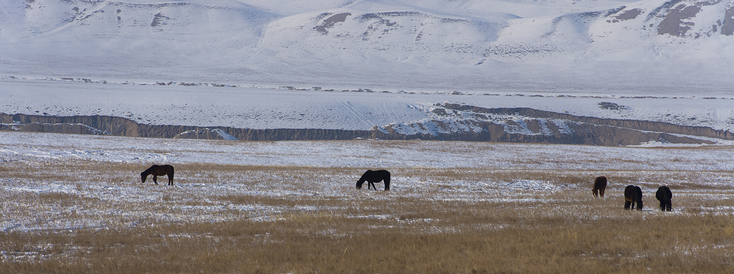 _DSC0768.JPG