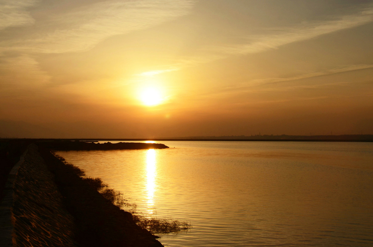 DSC_3023.jpg