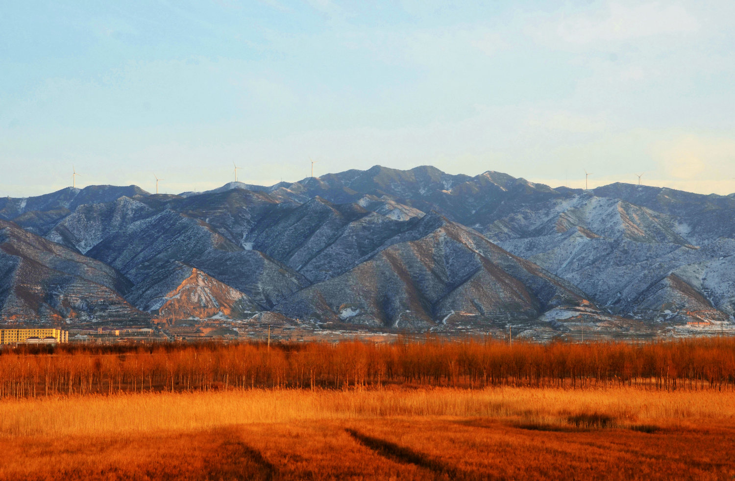 DSC_3017.jpg
