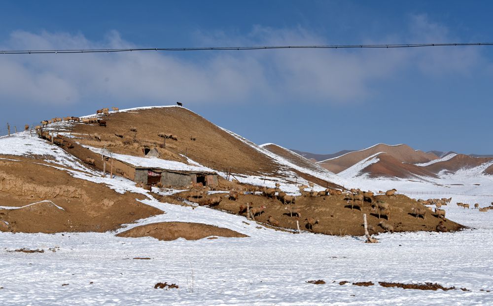 DSC_8320_.jpg
