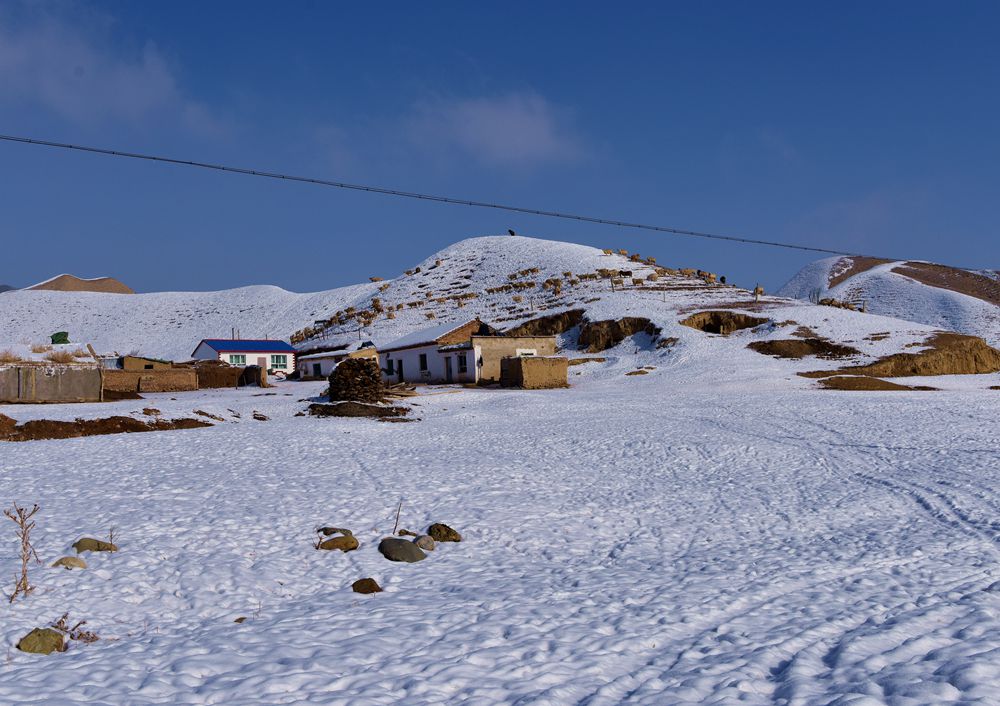 DSC_8321_.jpg