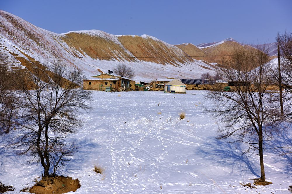 DSC_8327_.jpg