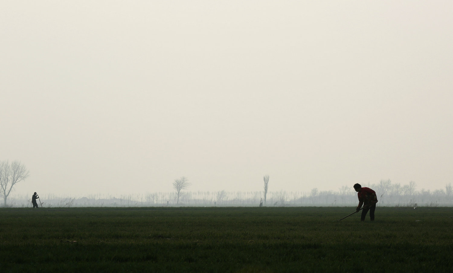DI9A7831.jpg