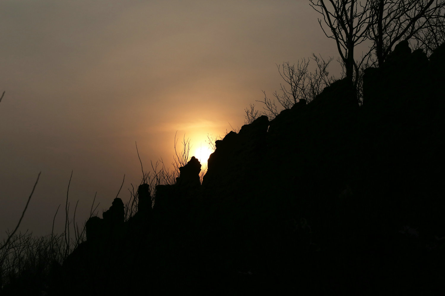 DI9A7880.jpg