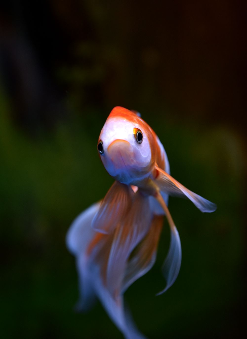 DSC_9188_.jpg