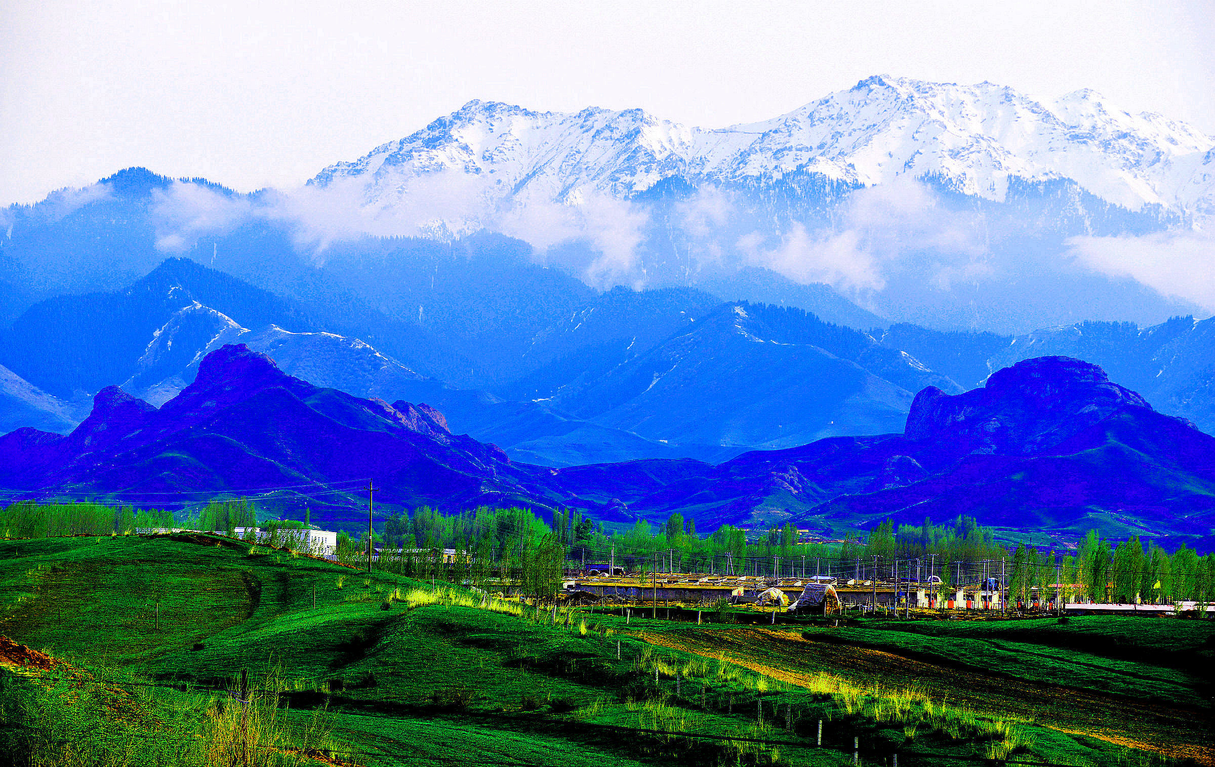 _DSC9090.jpg