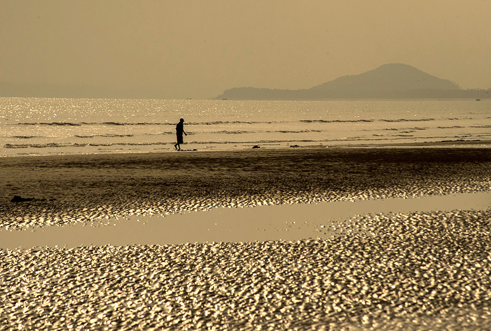 DSC_1551.jpg