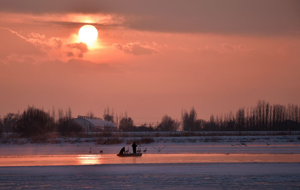 DSC_3883_.jpg
