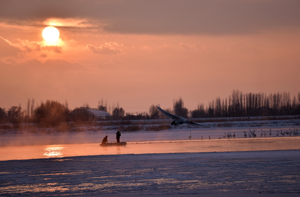 DSC_3873_.jpg