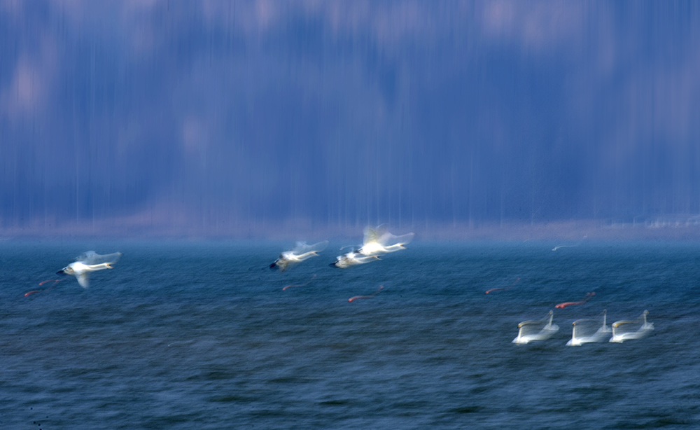 DSC_4465.jpg