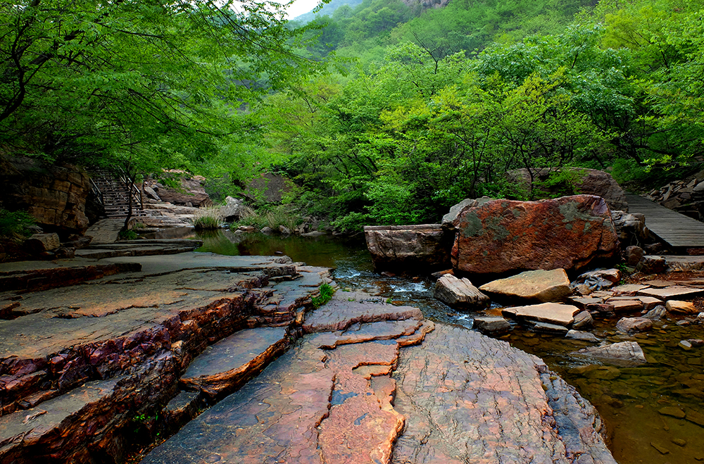DSCF0218.JPG