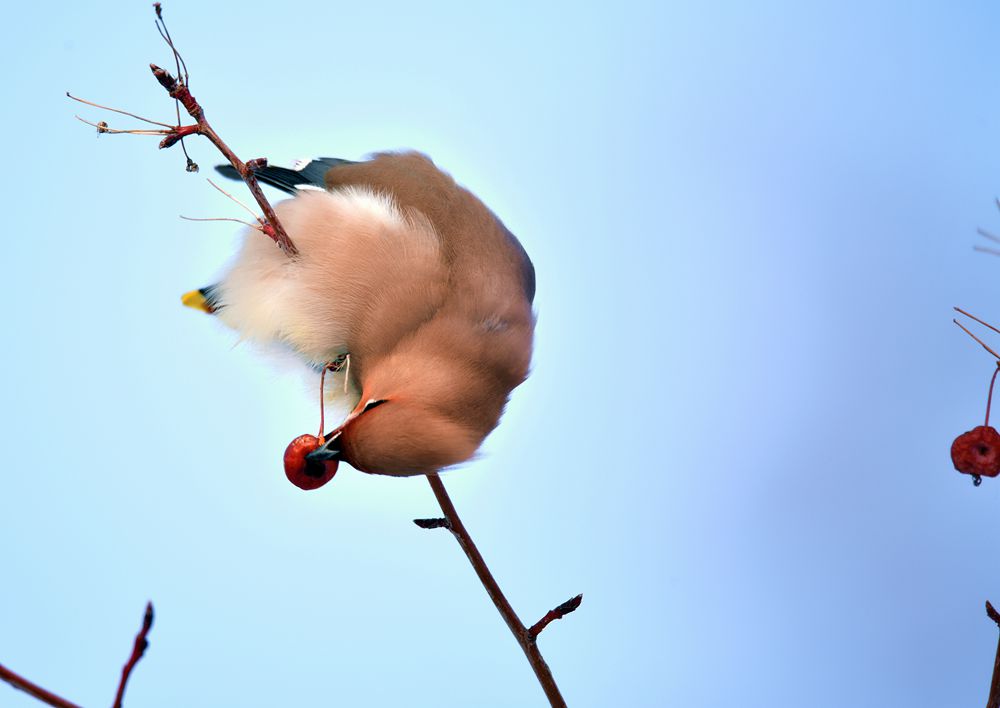 DSC_6418_.jpg