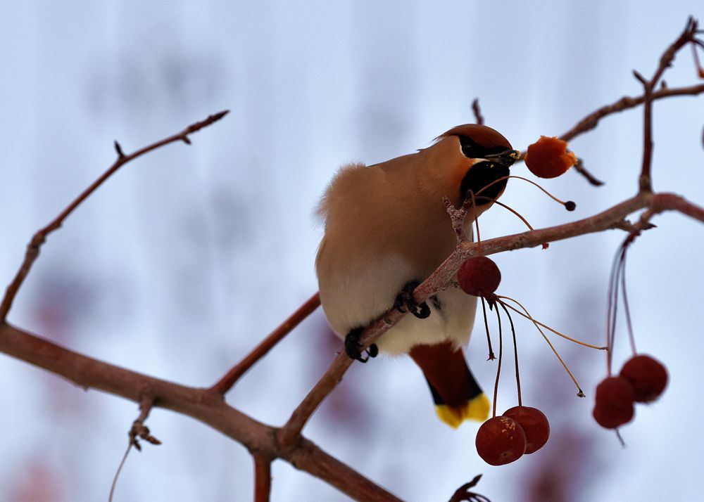 DSC_7262_.jpg