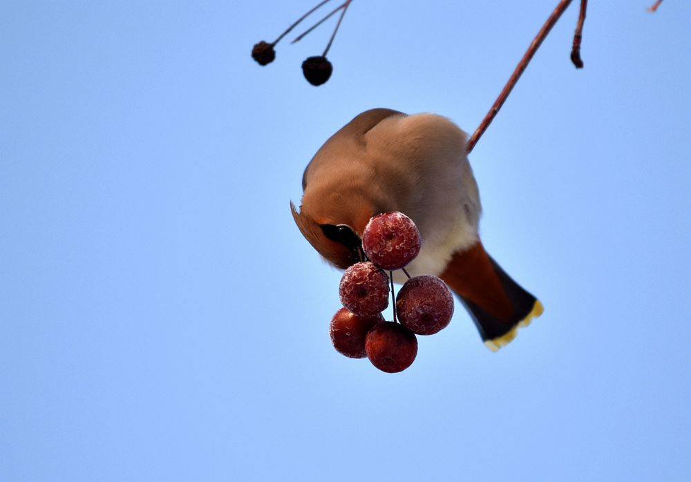 DSC_7486_.jpg