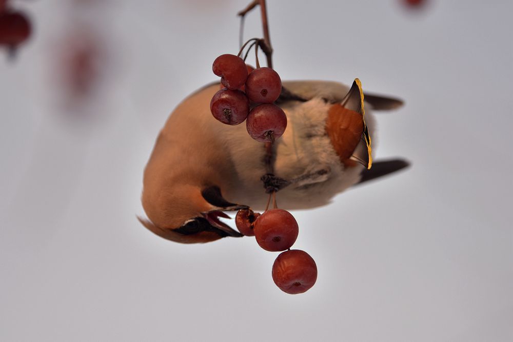 DSC_7626_.jpg