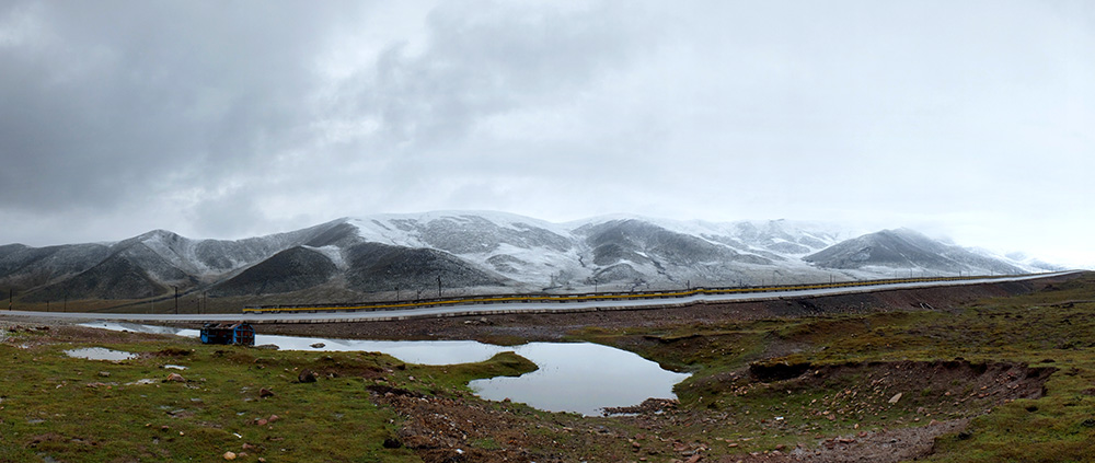 DSCF9010.JPG