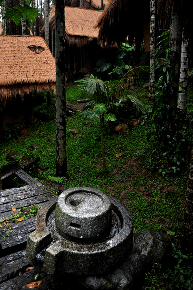 DSC_6039.JPG