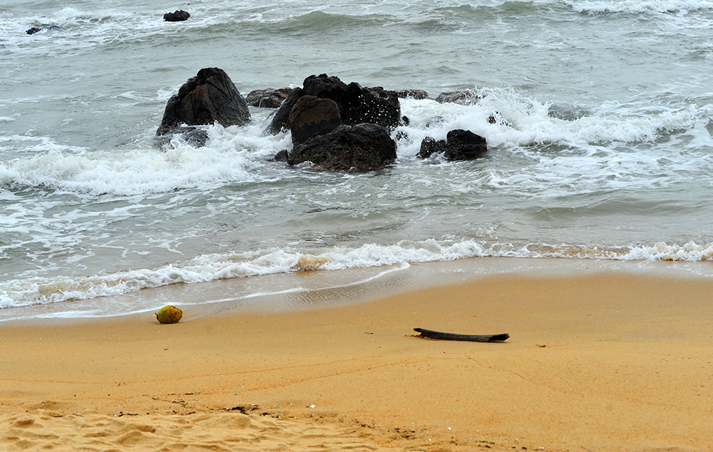 DSC_6830.JPG