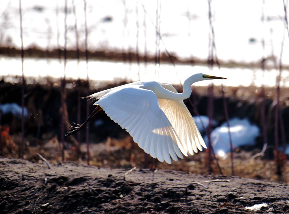  DSC_2270_.jpg