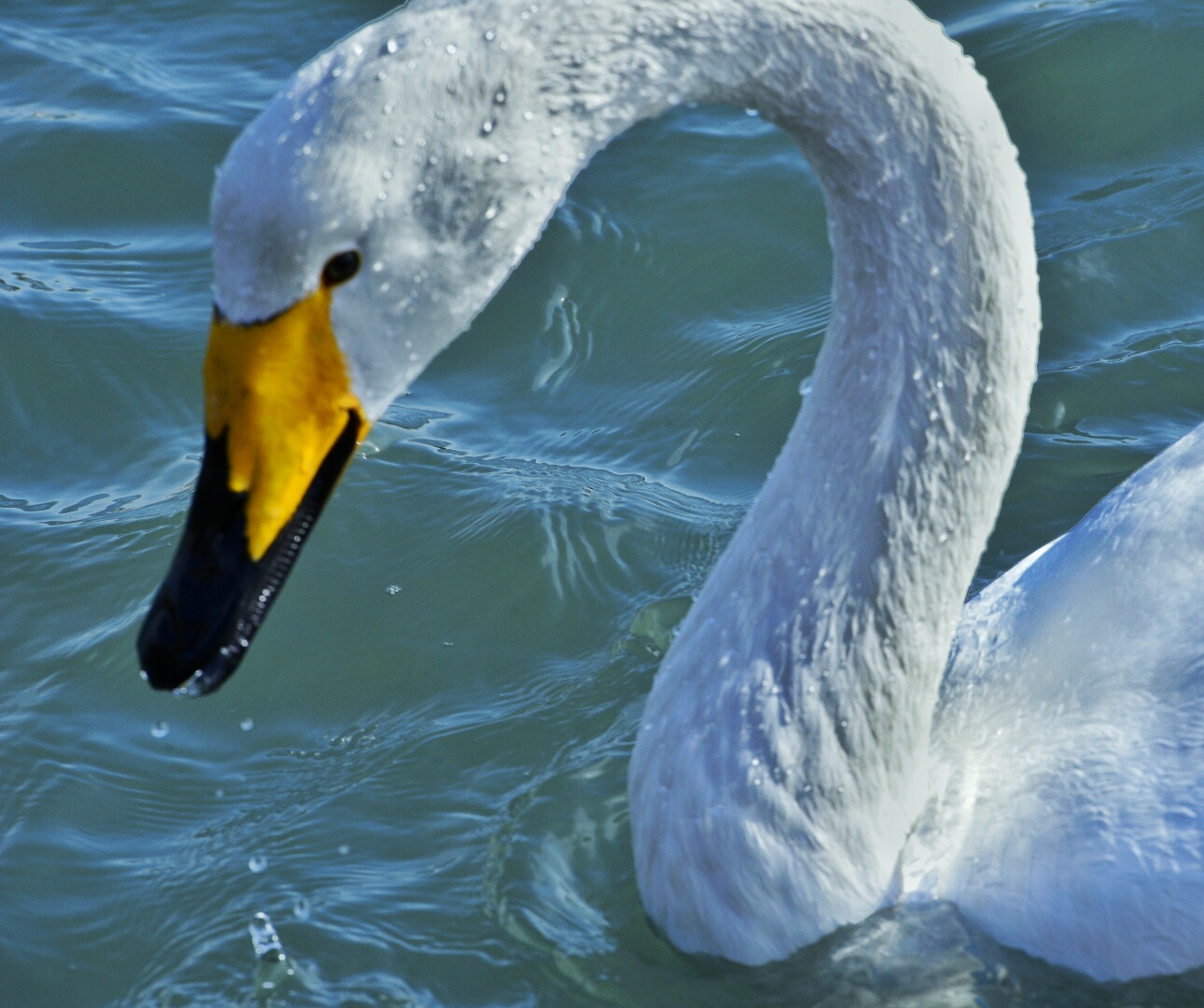 _DSC2867-01.jpeg