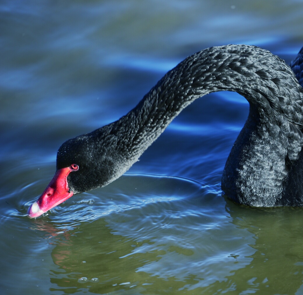 _DSC2996-01.jpeg