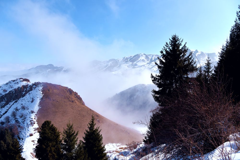 DSC_1632_.jpg