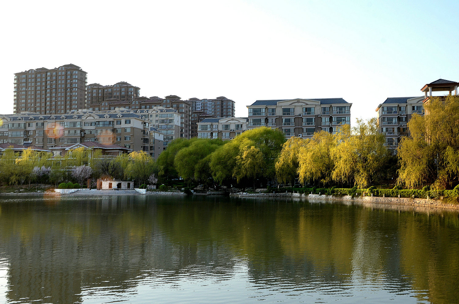 DSC_4498.jpg