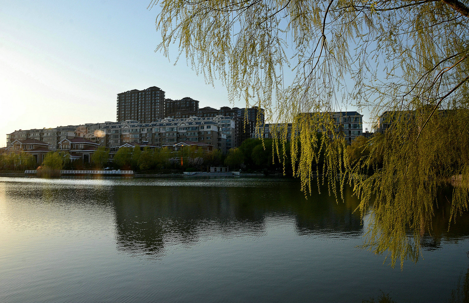 DSC_4511.jpg