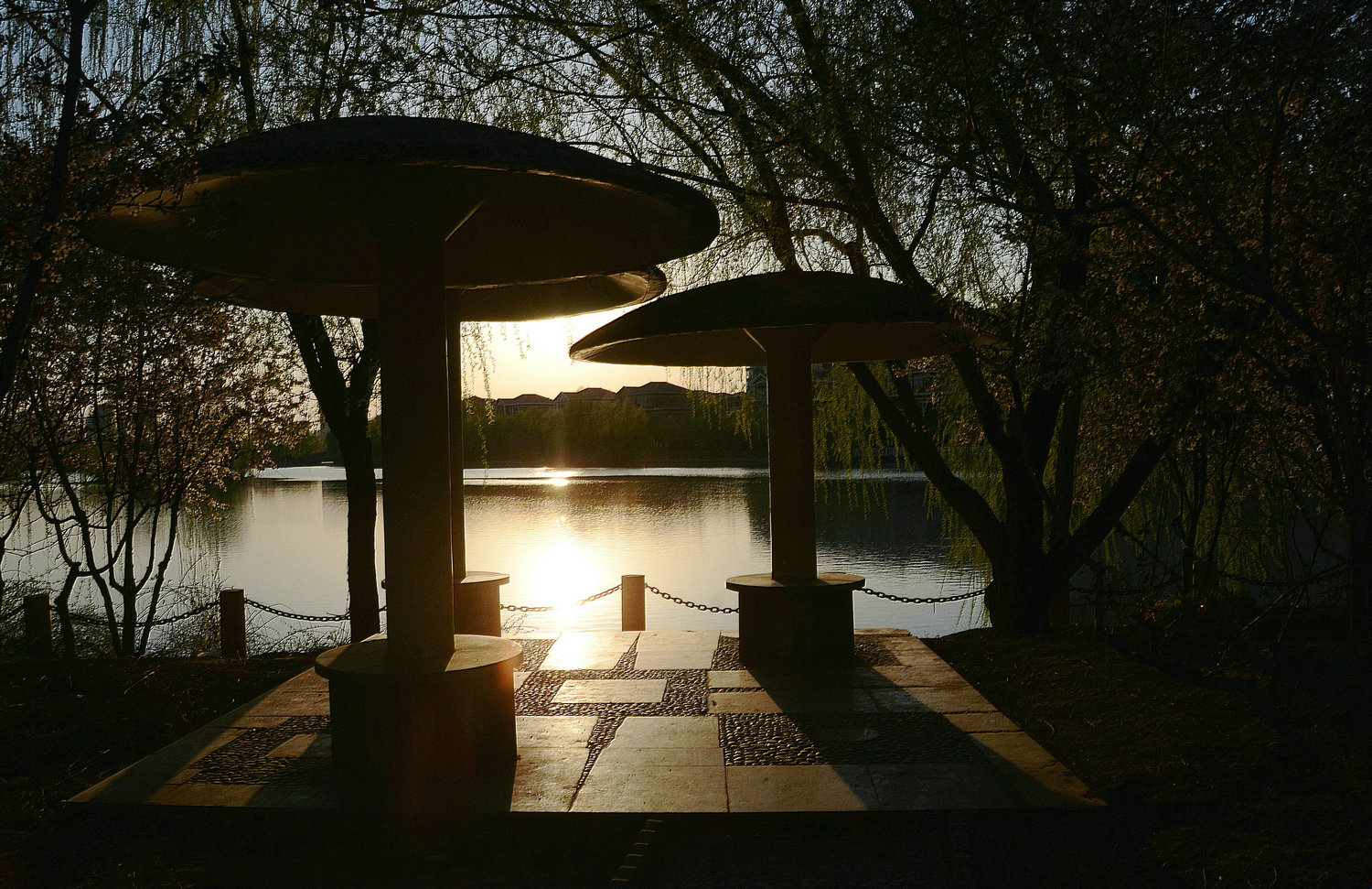 DSC_4507.jpg