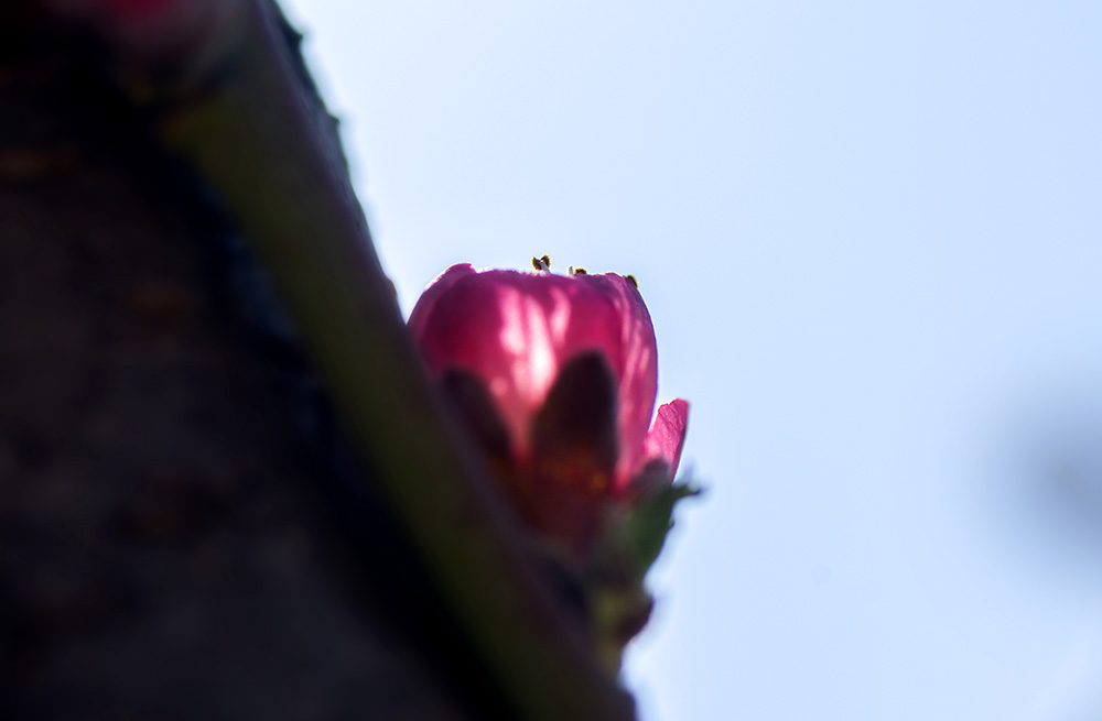 DSC_2240.jpg