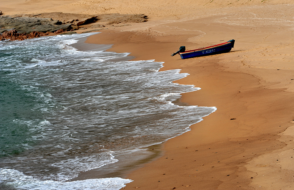 DSC_6360.JPG